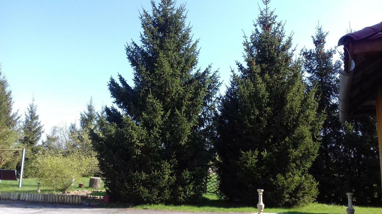 Appartamento Dom Na Ludowo W Brzeznicy Brzeznica  Esterno foto