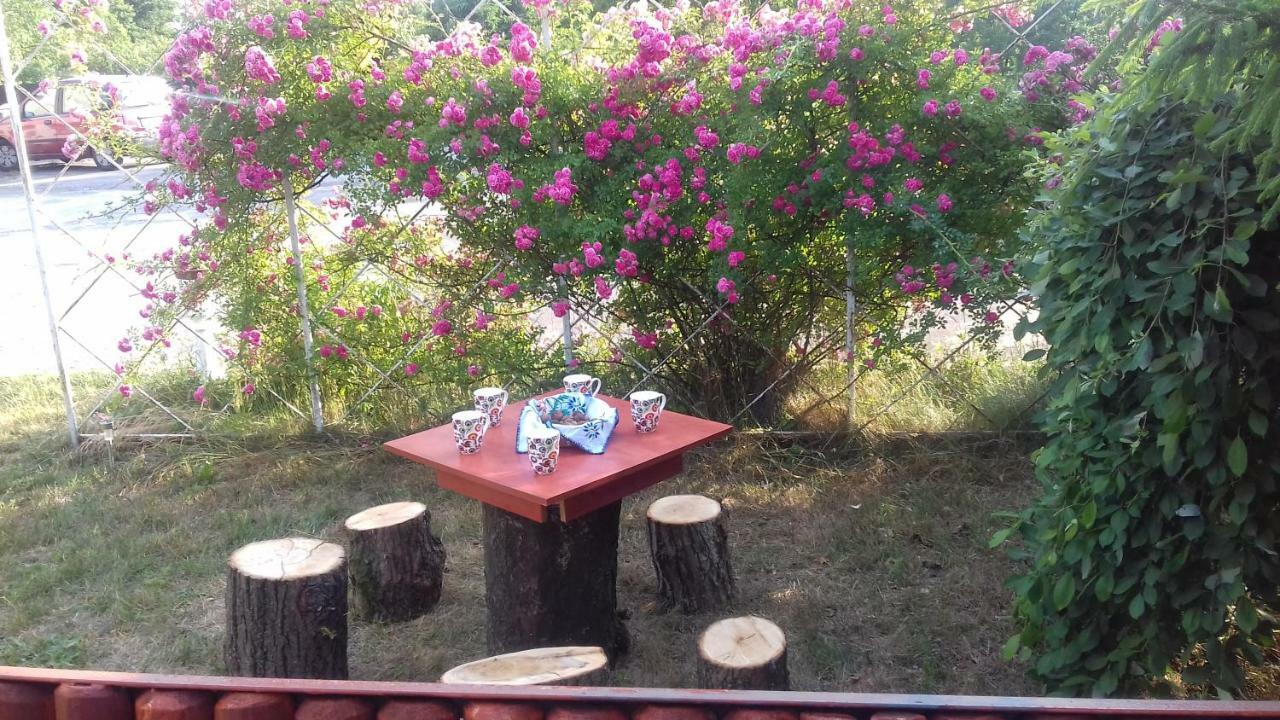 Appartamento Dom Na Ludowo W Brzeznicy Brzeznica  Esterno foto